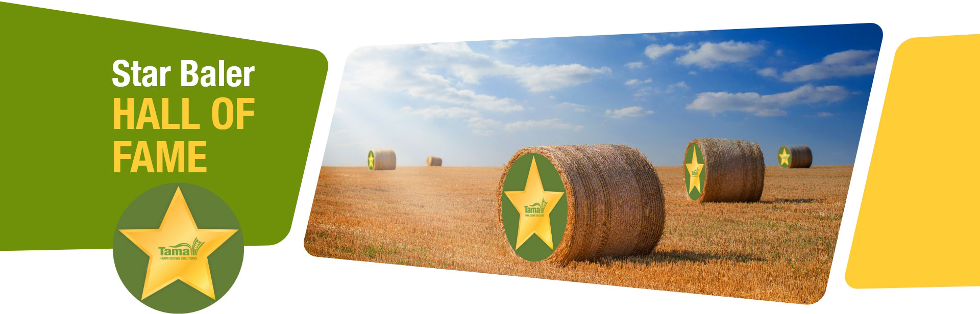 Gold Star gallery campaign banner