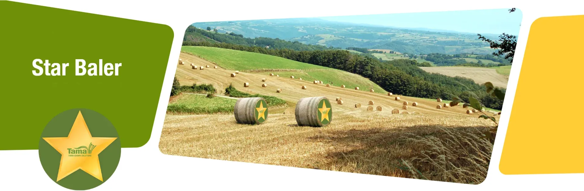Gold Star campaign banner